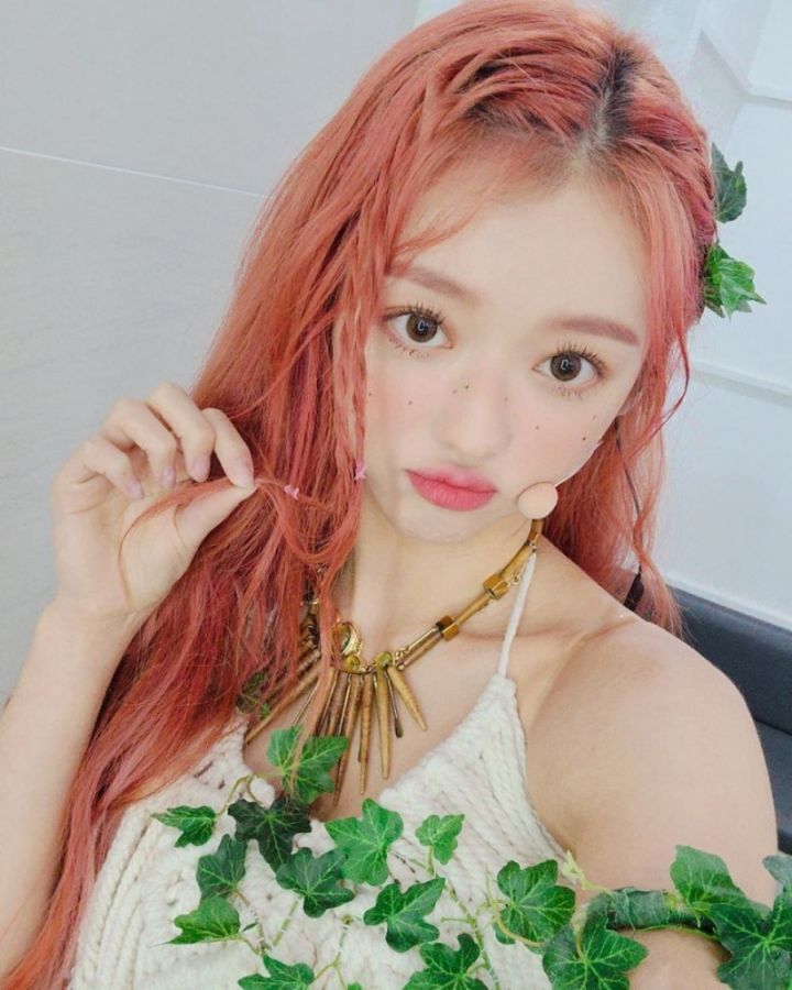 다양한 동물상 여자아이돌들! | 인스티즈