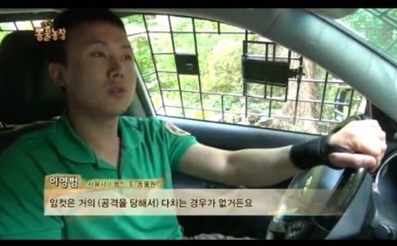 동물농장 - 공격당한 암컷 곰 | 인스티즈
