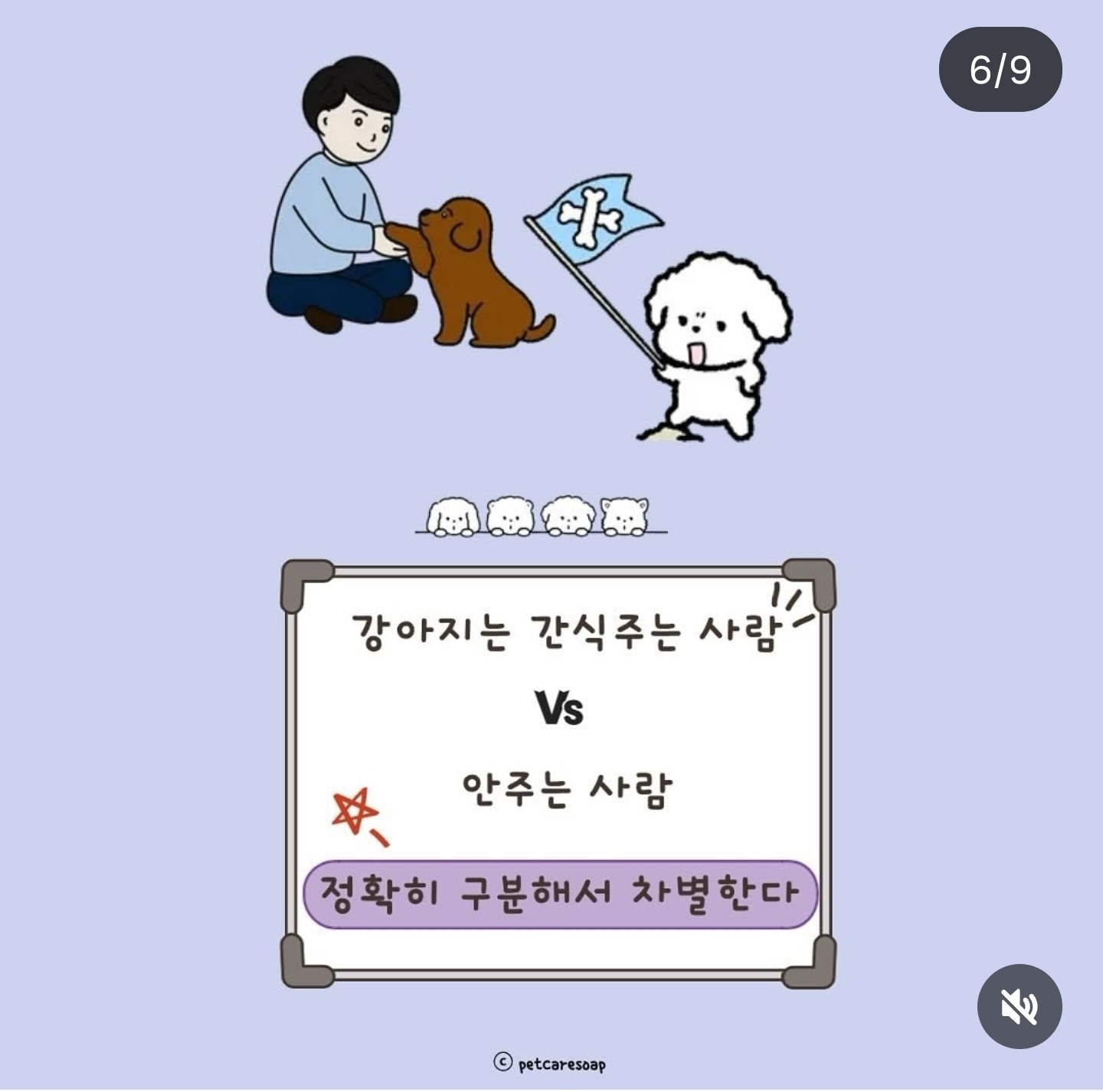 논문으로 밝혀진 반려견 행동들 9가지 | 인스티즈