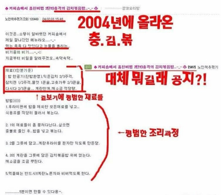 한때 인터넷을 휩쓸었던 충격의 김치볶음밥 | 인스티즈