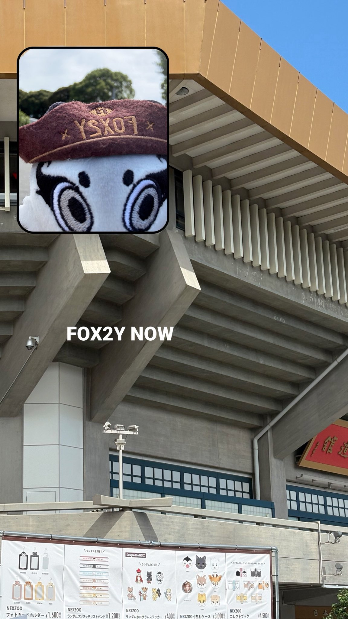 일본에서 금기시 되는 콘서트 직촬 법칙을 깬 JYP 아이돌 팬계정 | 인스티즈