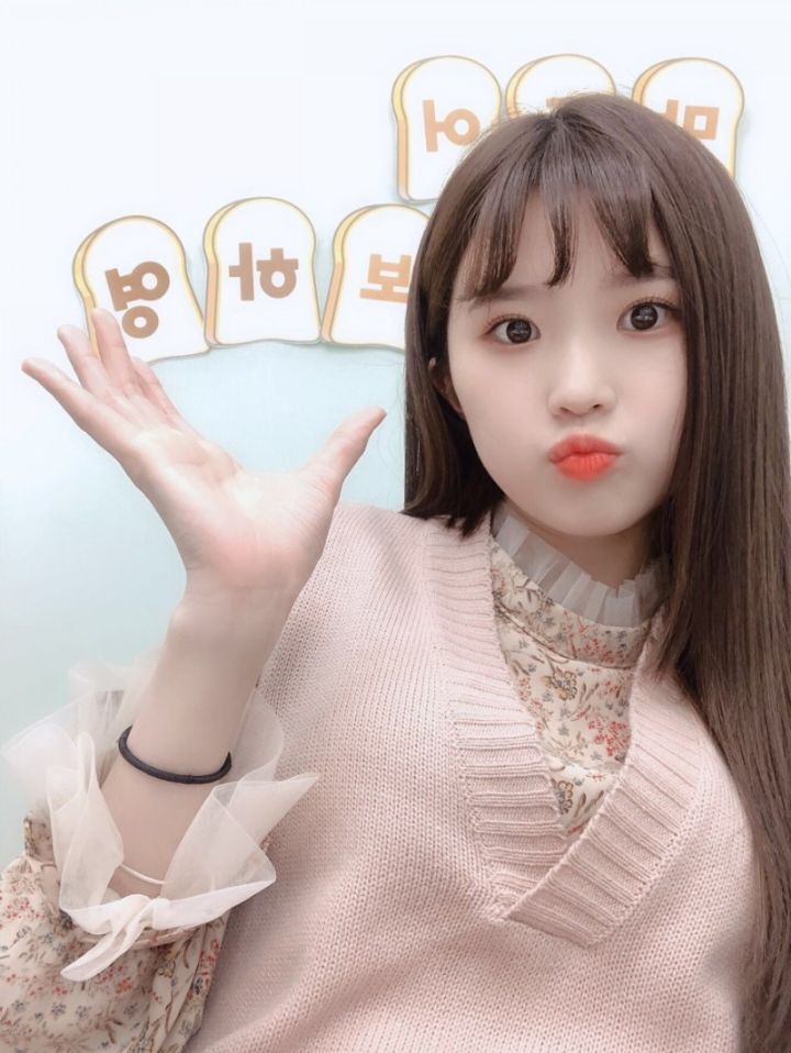 다양한 동물상 여자아이돌들! | 인스티즈