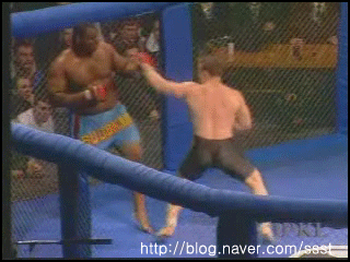 MMA 레전드, '북방의 최종 병기' 이고르 보브찬친 | 인스티즈