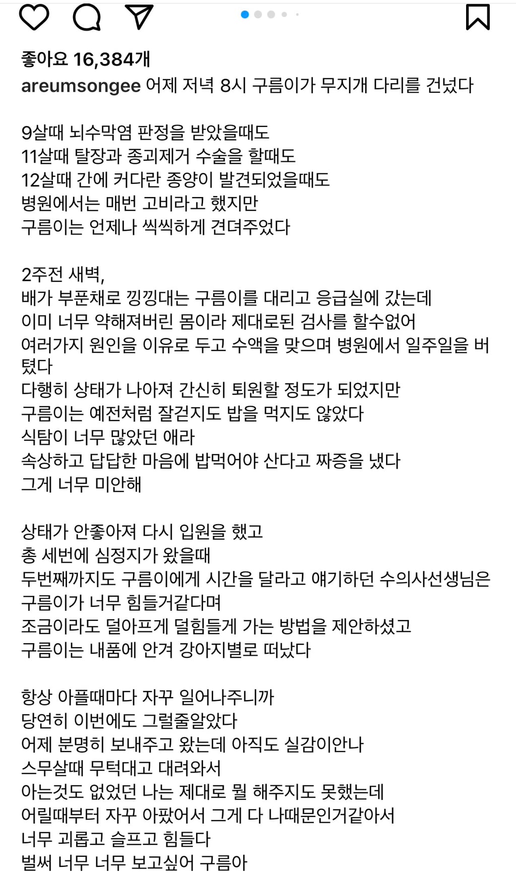 너무 슬픈 한아름송이 인스타 글(feat.구름이) | 인스티즈