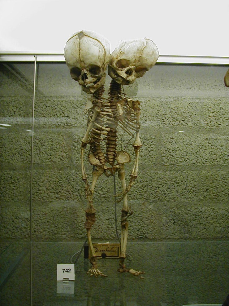 세계에서 무섭기로 유명한 장소들.jpg (조금 무서운) | 인스티즈