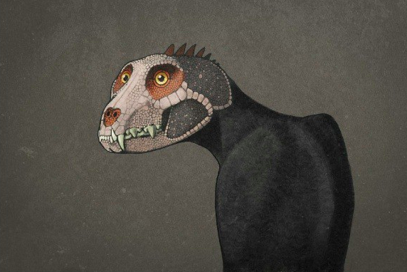 우리가 아는 공룡의 모습은 진짜일까? .jpg | 인스티즈