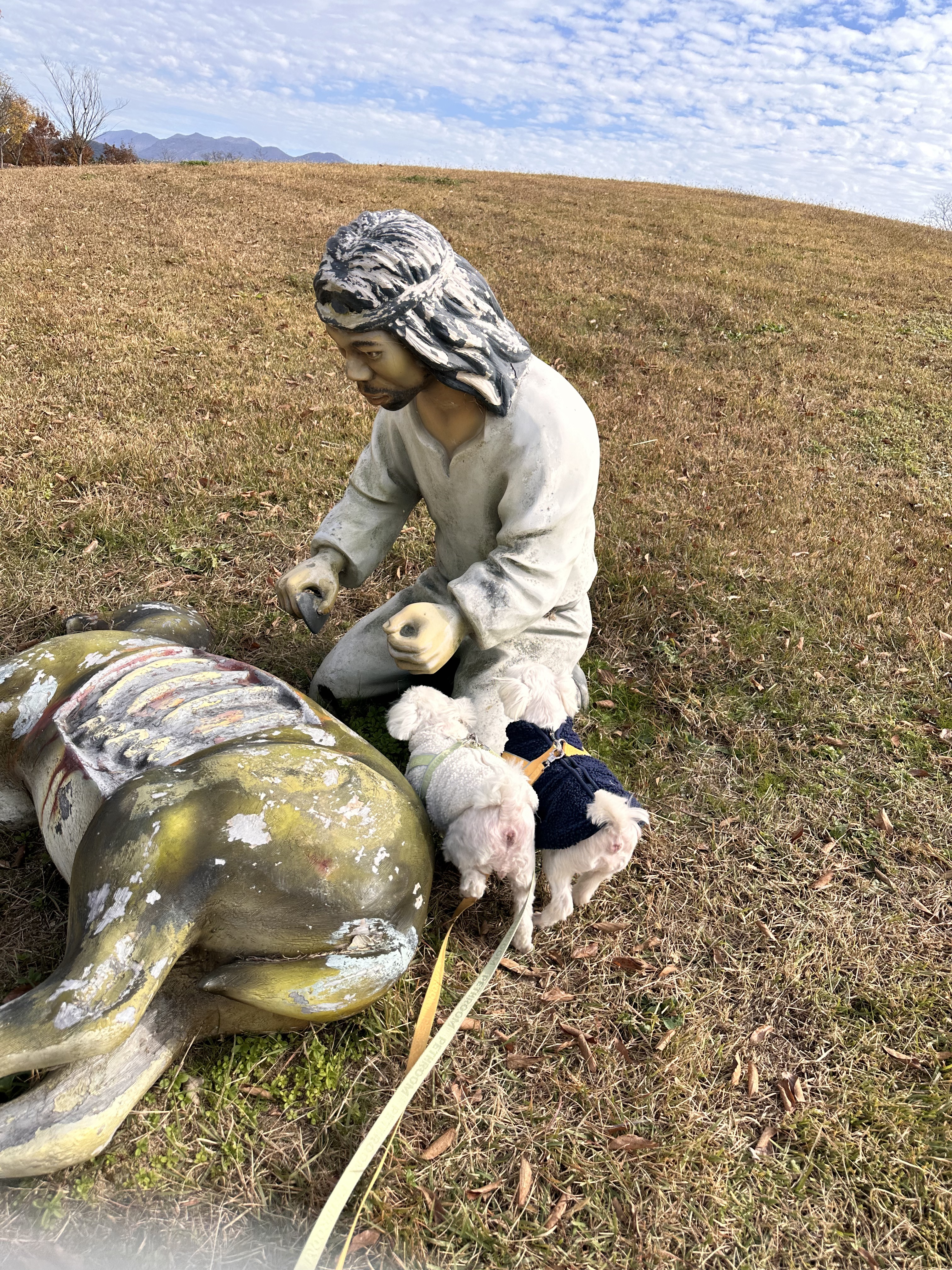 내 책갈피? 독서대? 구엽지 | 인스티즈