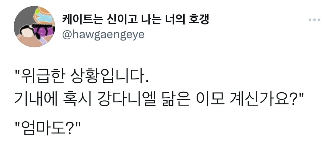 '기내에 혹시' 밈 모음.twt | 인스티즈