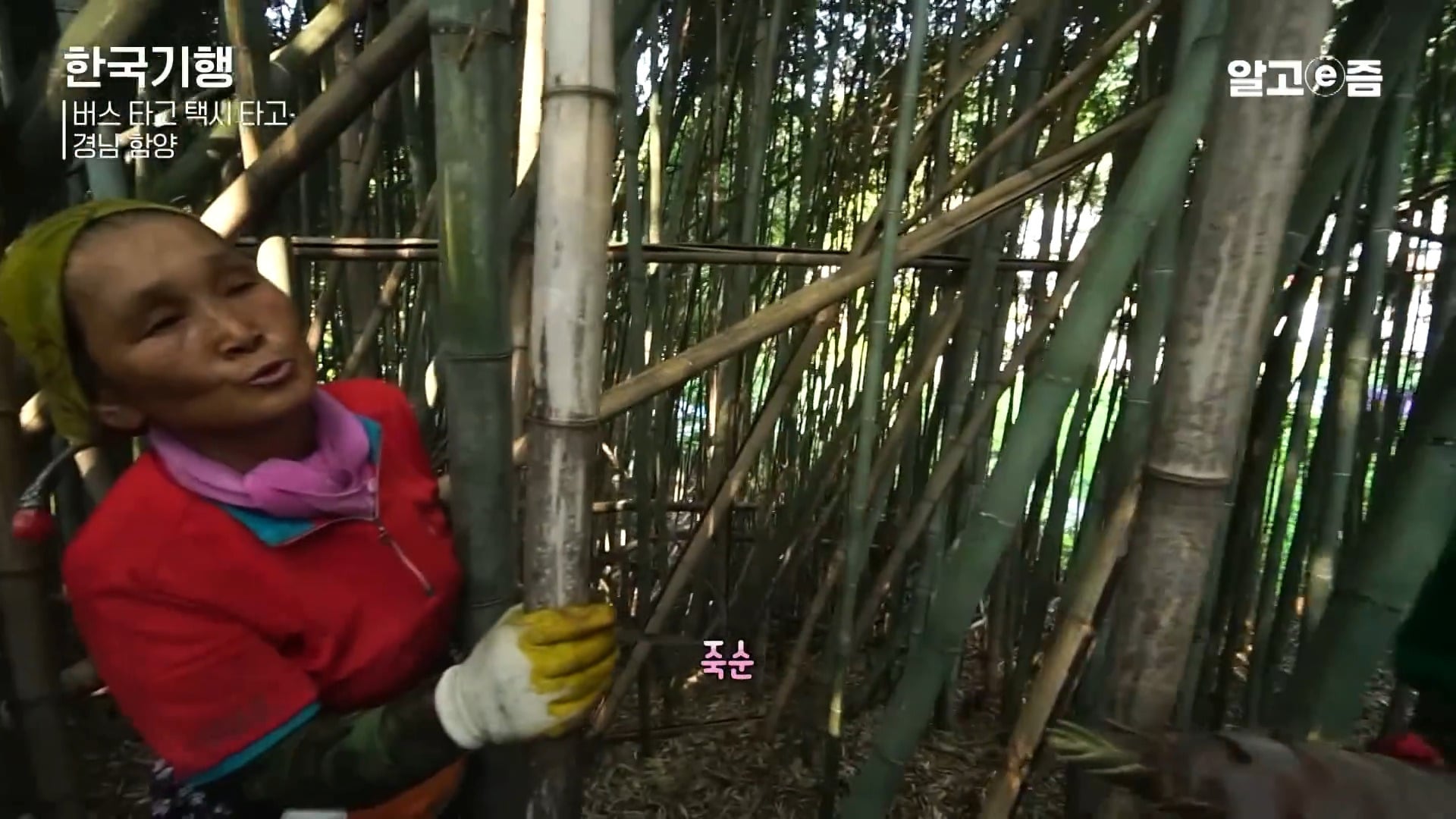 외국에서 예약하고 찾아온다는 경남 함양 할머니 민박집.jpg | 인스티즈
