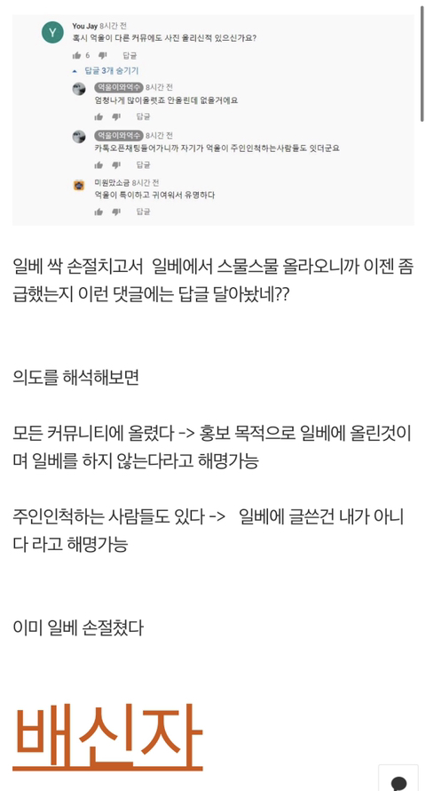 억울하게 생겨서 유명해진 고양이 '억울이' 주인 일베 논란 | 인스티즈