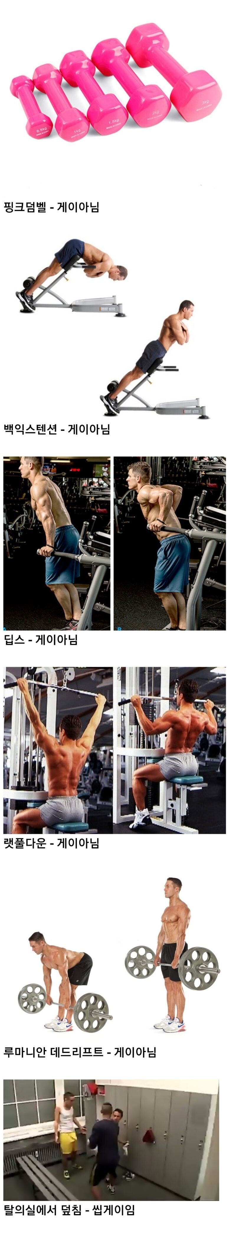 헬스장에서 게이 구분하는 방법 | 인스티즈
