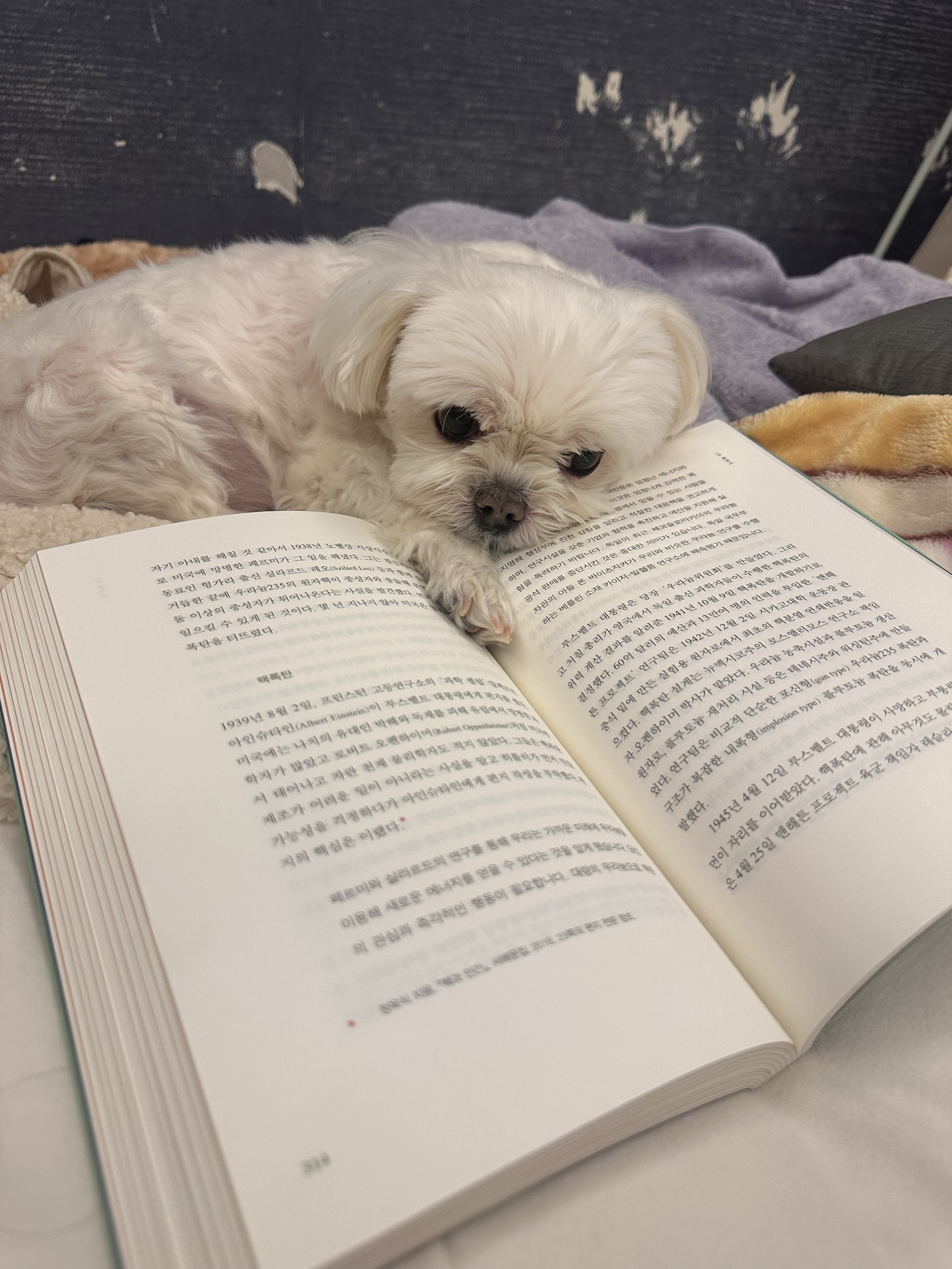 내 책갈피? 독서대? 구엽지 | 인스티즈