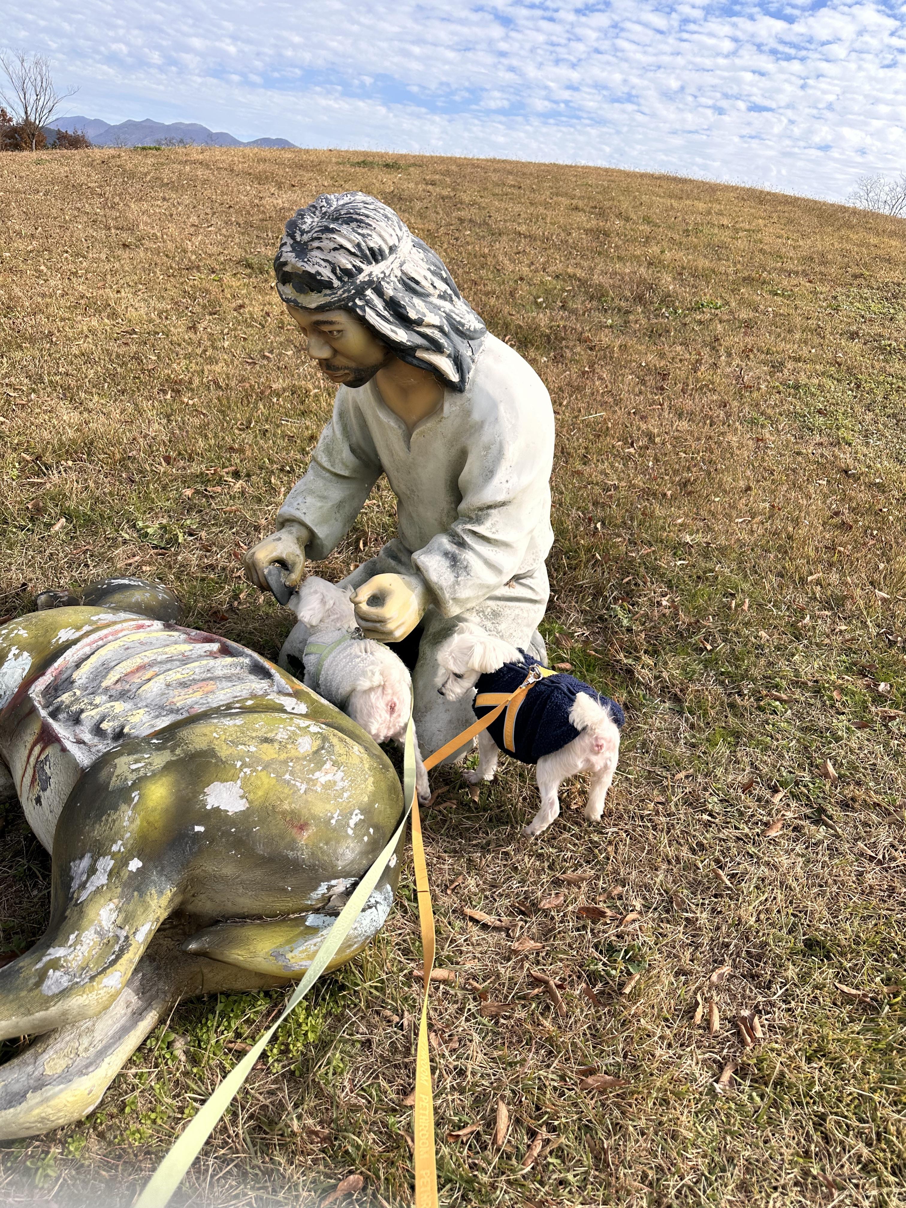 내 책갈피? 독서대? 구엽지 | 인스티즈