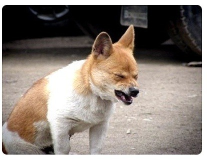 서인국 닮은꼴들.JPG | 인스티즈