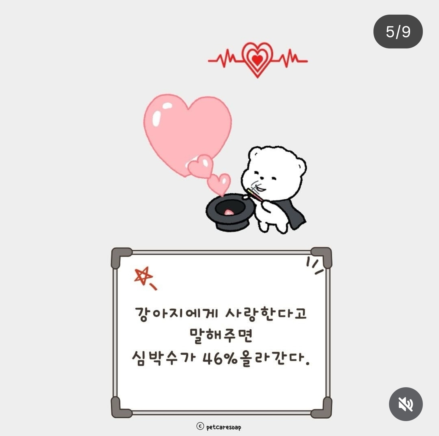 논문으로 밝혀진 반려견 행동들 9가지 | 인스티즈