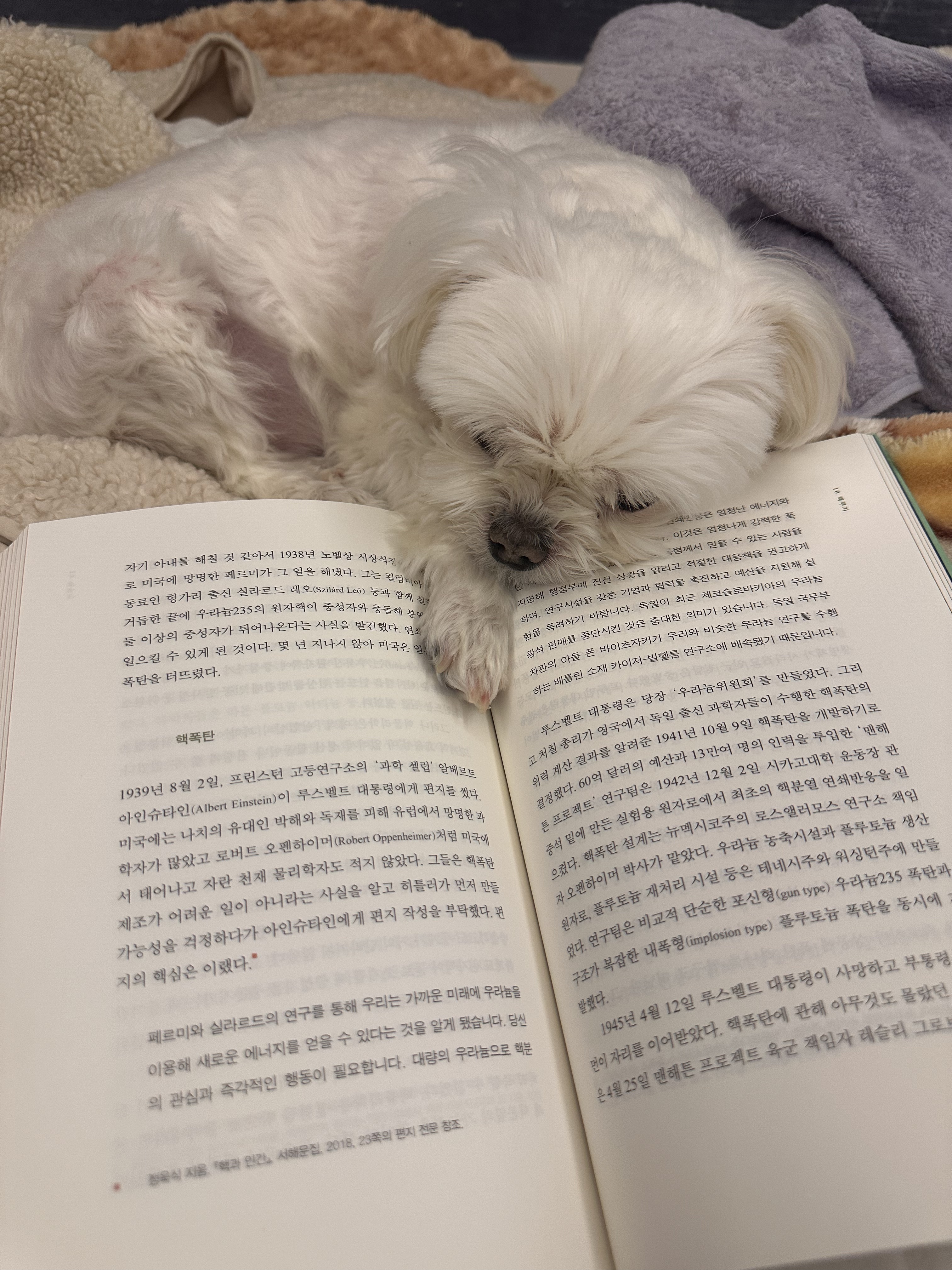 내 책갈피? 독서대? 구엽지 | 인스티즈