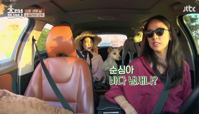 학대당한 강아지 모카가 아이유에게 마음을 열기까지 | 인스티즈
