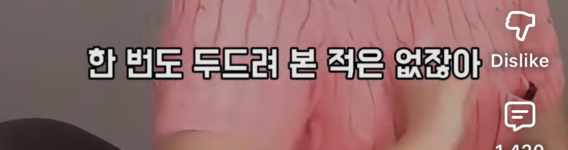 이수지가 수입 0원일때, 잊지 못하는 연예인 | 인스티즈