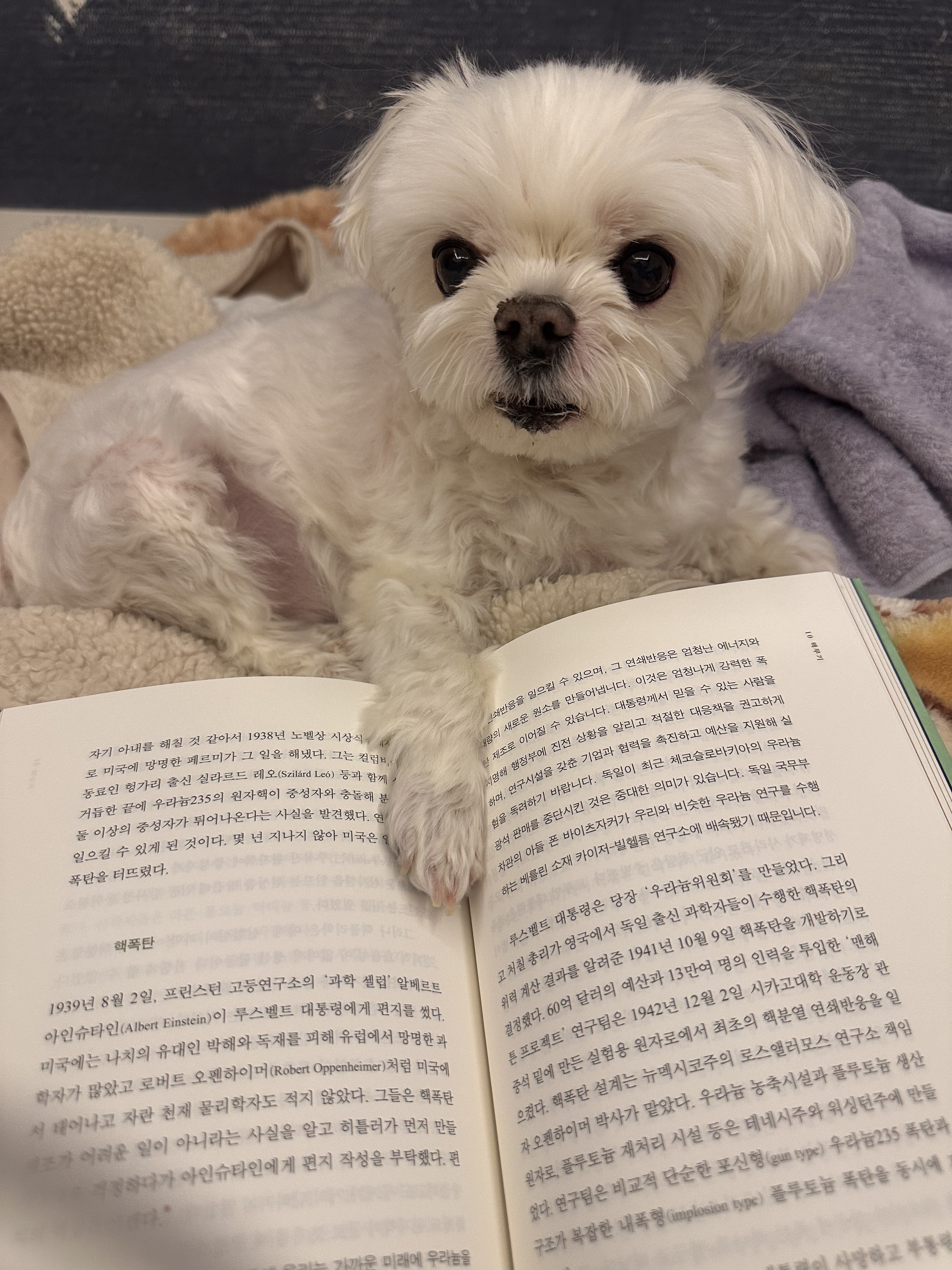 내 책갈피? 독서대? 구엽지 | 인스티즈