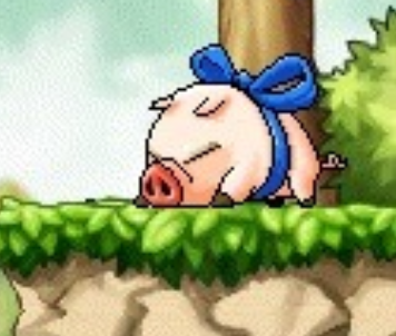 메이플 몬스터의 비밀 | 인스티즈