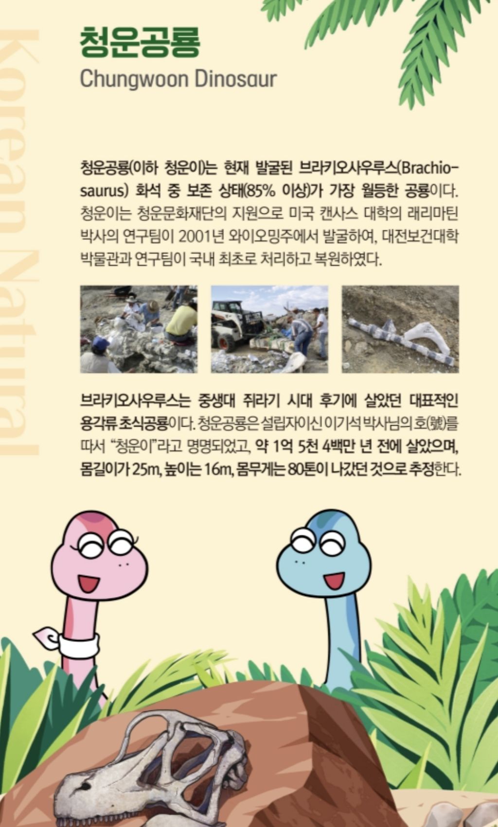 의외로 유일하게 한국에서 볼수있는것.jpg | 인스티즈