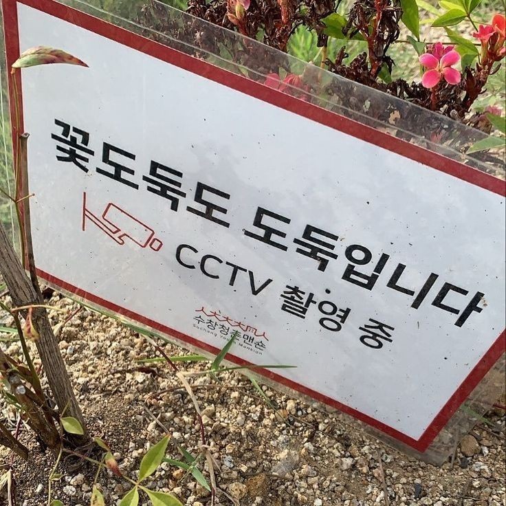 충전한 낭만을 나눠주세요 | 인스티즈