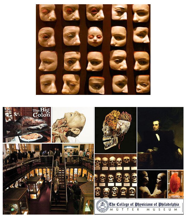 세계에서 무섭기로 유명한 장소들.jpg (조금 무서운) | 인스티즈