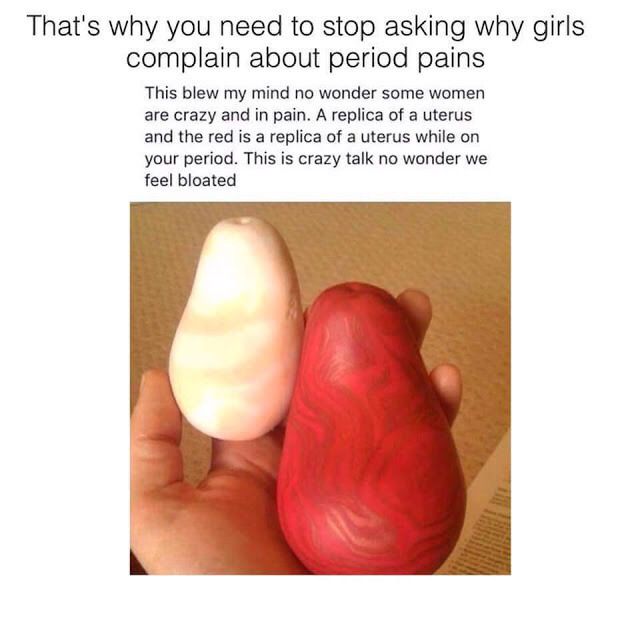 여성들이 생리 기간에 아랫배가 아픈 이유를 사진 한 장으로 설명하다 | 인스티즈