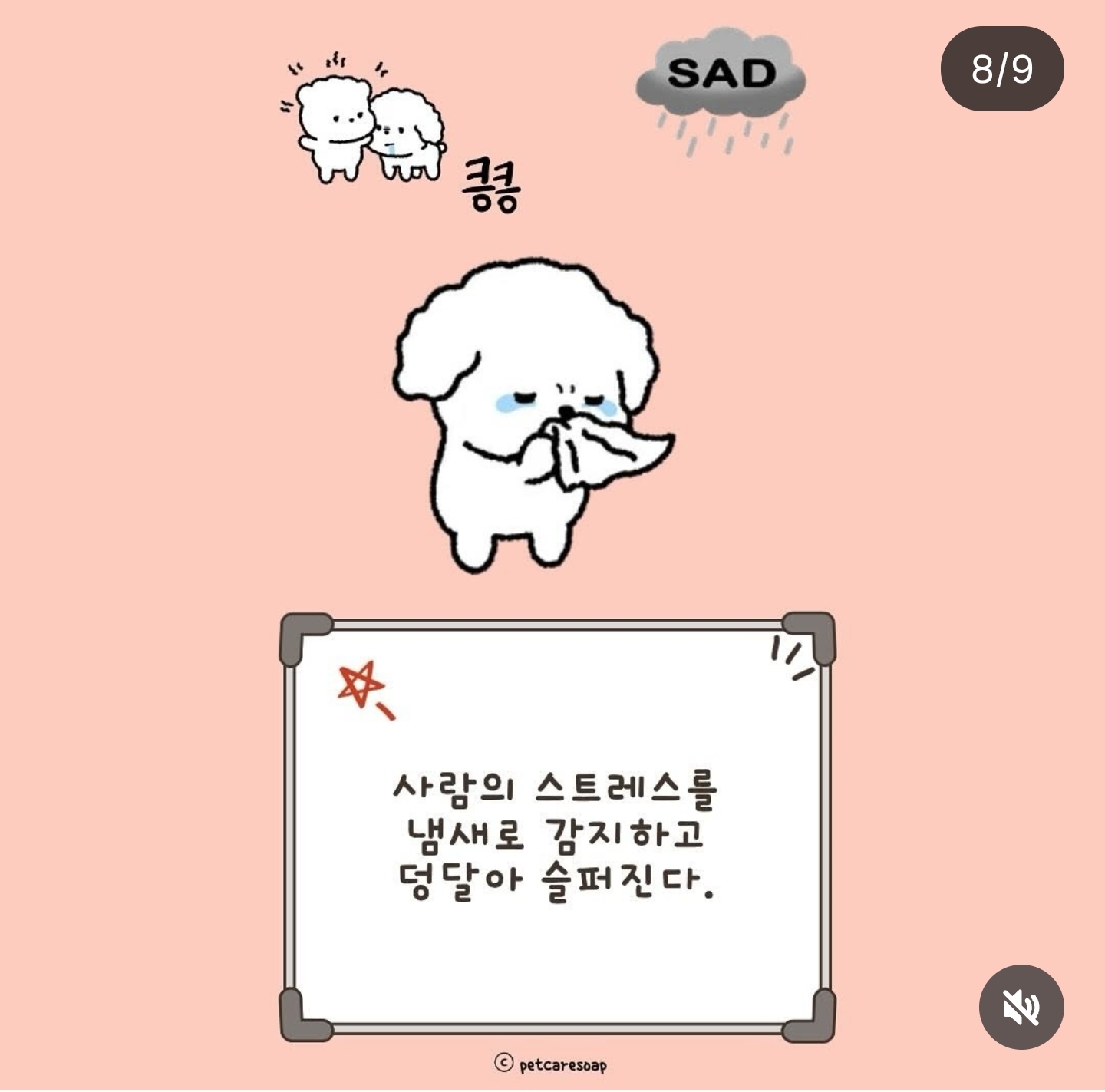 논문으로 밝혀진 반려견 행동들 9가지 | 인스티즈