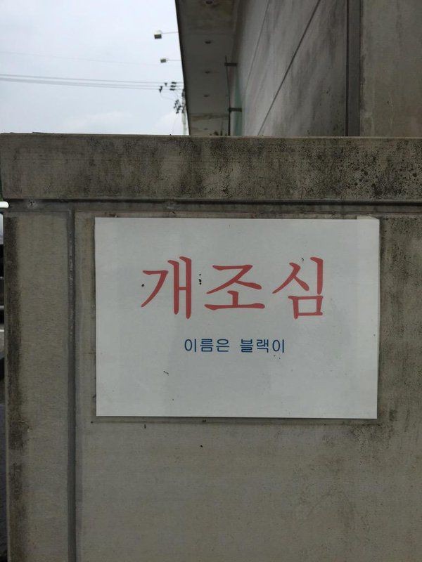 충전한 낭만을 나눠주세요 | 인스티즈