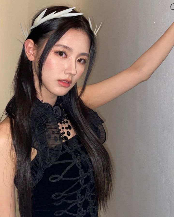 다양한 동물상 여자아이돌들! | 인스티즈