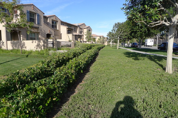 미국 캘리포니아 어바인 동네에사는 한국 연예인들 | 인스티즈