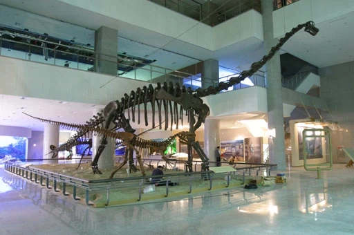 의외로 유일하게 한국에서 볼수있는것.jpg | 인스티즈