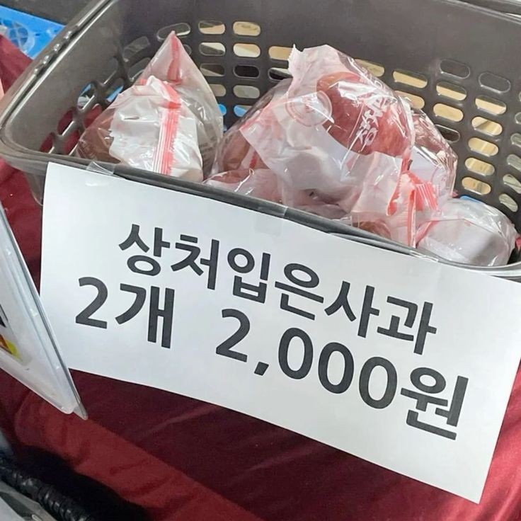 충전한 낭만을 나눠주세요 | 인스티즈