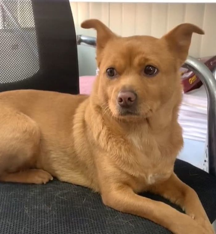 요랬는데 요래됐슴당 | 인스티즈