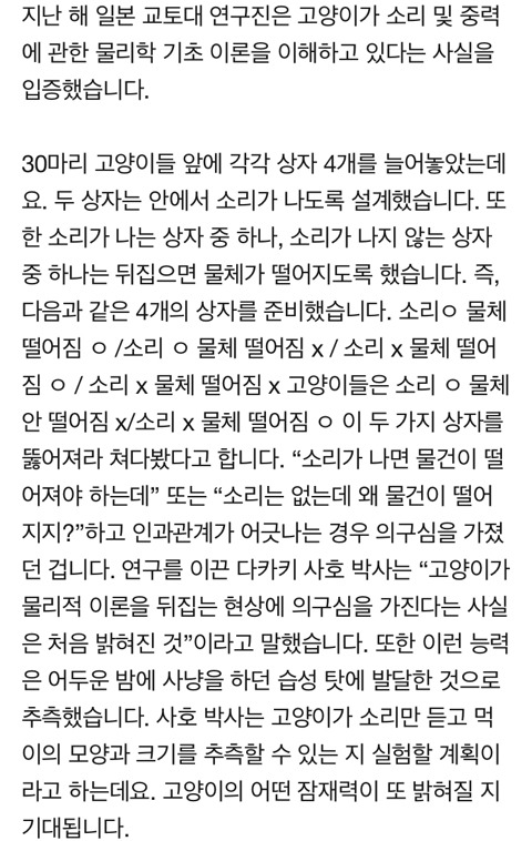 [애니팩트] 고양이는 중력의 법칙을 이해한다 | 인스티즈