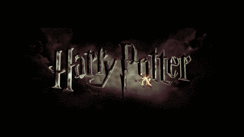 <해리포터> 신기하고 강력한 피델리우스 마법 | 인스티즈