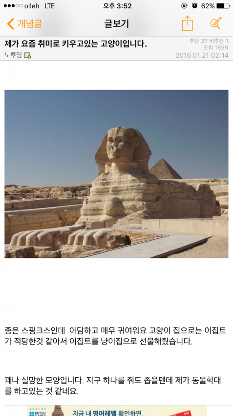 디시 허언증갤러리.jpg | 인스티즈