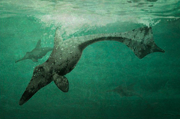 우리가 아는 공룡의 모습은 진짜일까? .jpg | 인스티즈