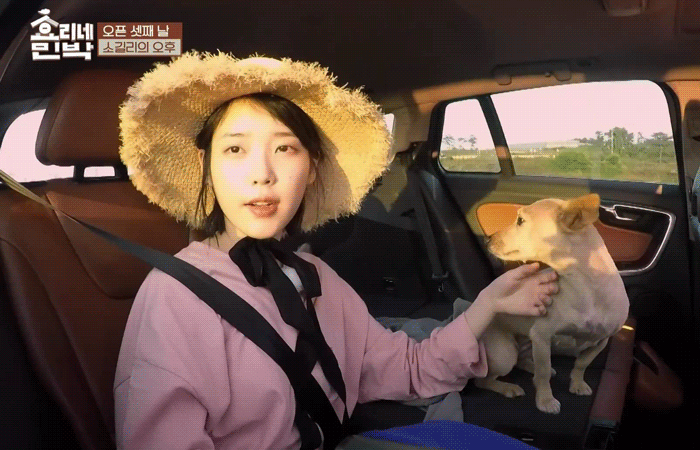 학대당한 강아지 모카가 아이유에게 마음을 열기까지 | 인스티즈