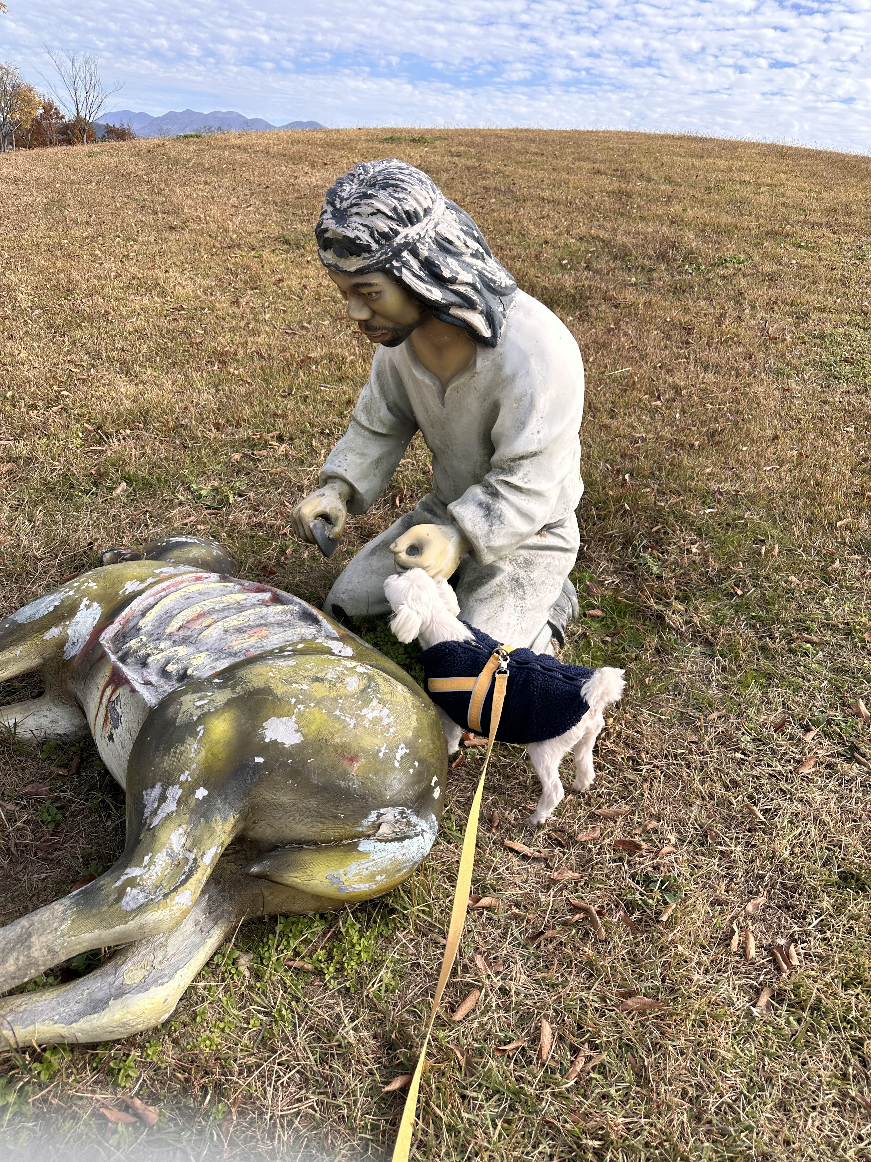 내 책갈피? 독서대? 구엽지 | 인스티즈