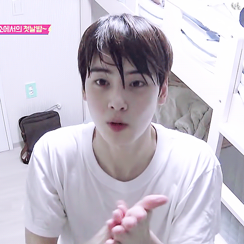 19살 데뷔전부터 현재까지 차은우 얼굴변화.gif(스압) | 인스티즈