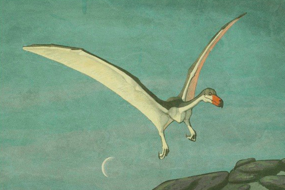 우리가 아는 공룡의 모습은 진짜일까? .jpg | 인스티즈