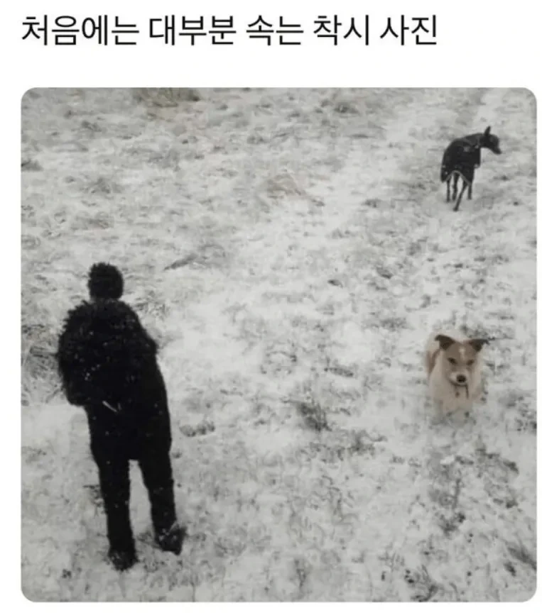 처음에는 대부분 속는다는 착시 사진 | 인스티즈