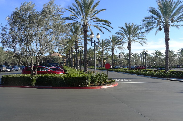 미국 캘리포니아 어바인 동네에사는 한국 연예인들 | 인스티즈