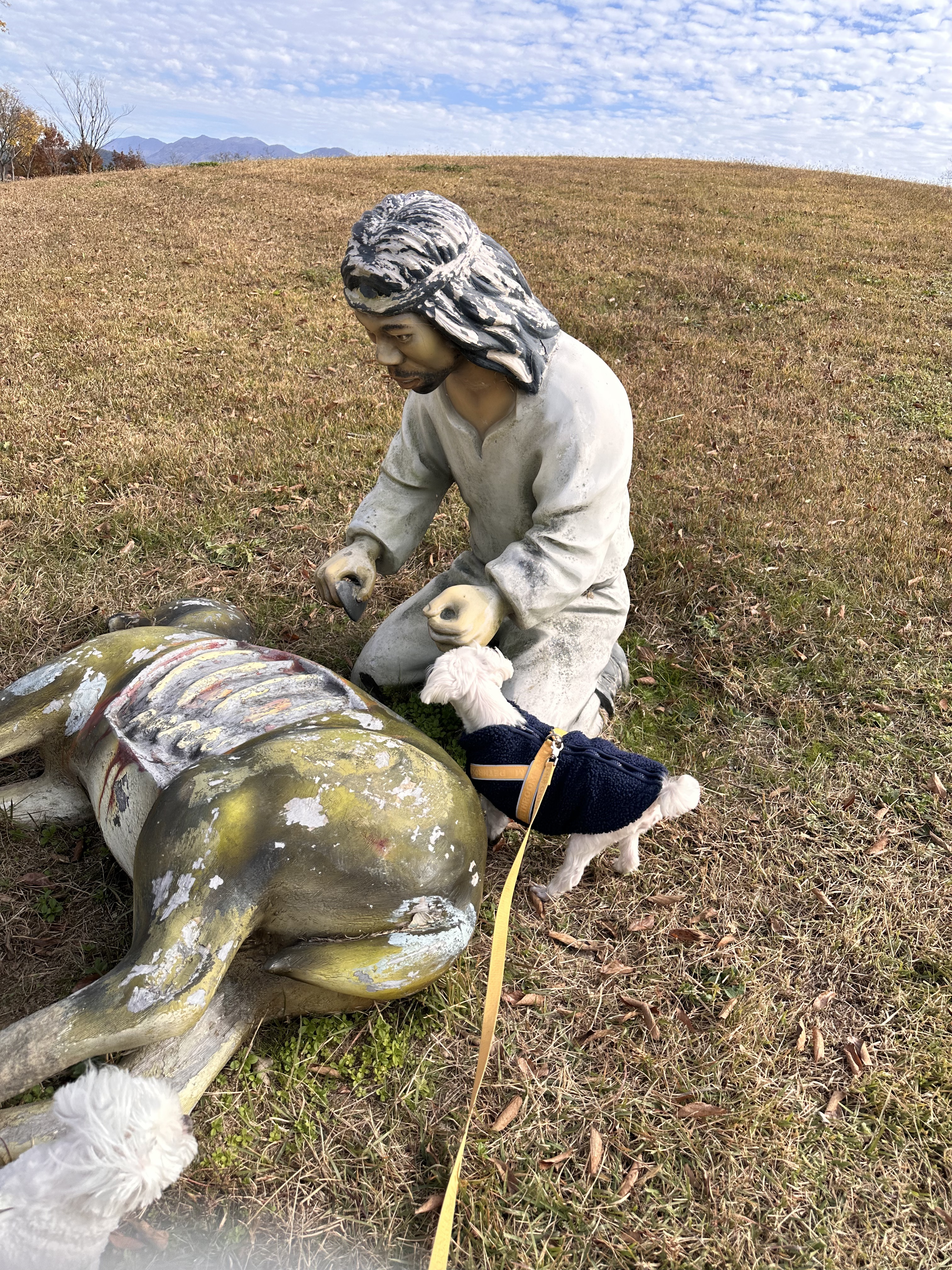 내 책갈피? 독서대? 구엽지 | 인스티즈