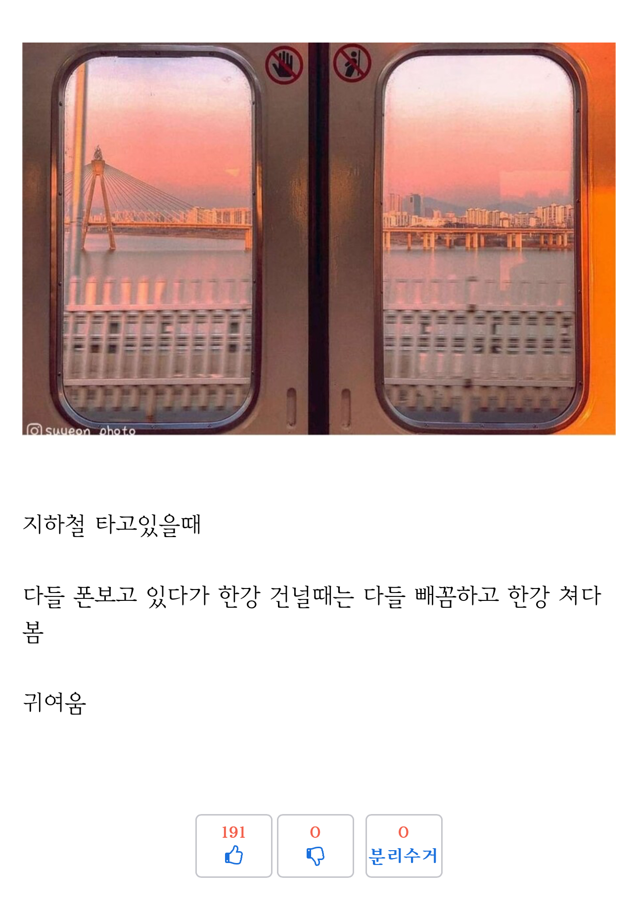 사실 서울 사람들도 은근히 한강 좋아함 | 인스티즈