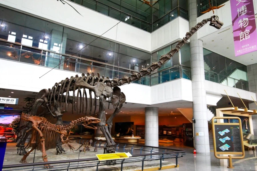 의외로 유일하게 한국에서 볼수있는것.jpg | 인스티즈