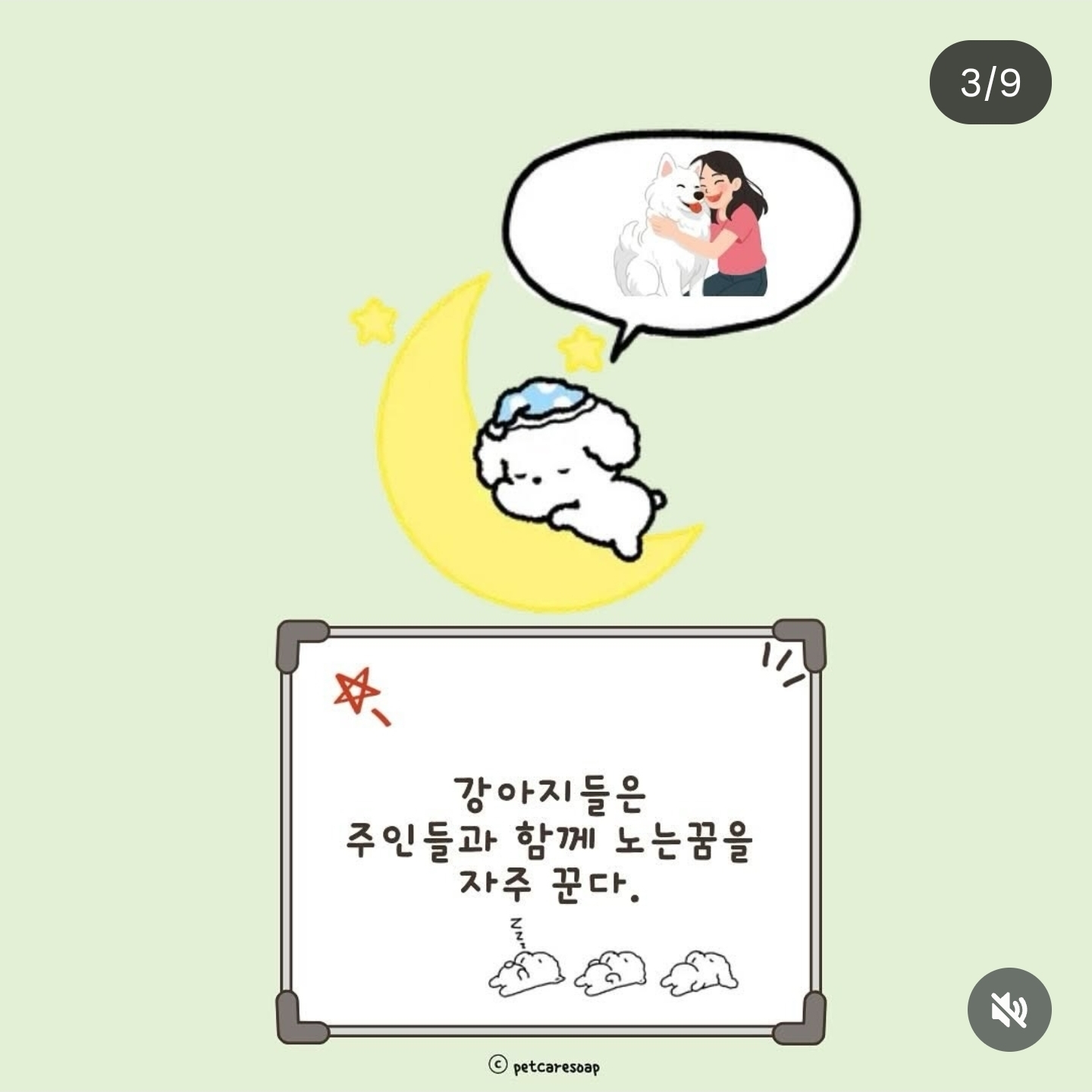 논문으로 밝혀진 반려견 행동들 9가지 | 인스티즈