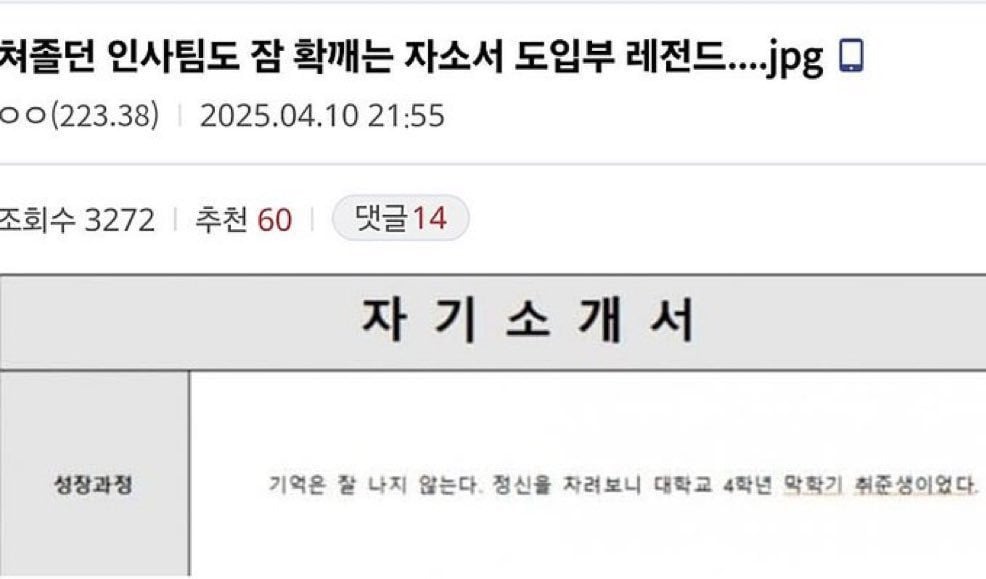 인사팀도 잠 확 깨는 자소서 도입부 레전드.jpg | 인스티즈